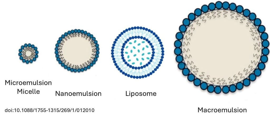 CBD nanoemulsion, microemulsion and liposome