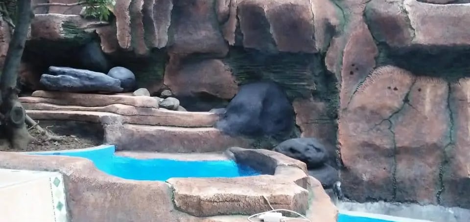 air terjun dengan desain alami