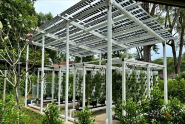 Agrivoltaics Vertical Farming