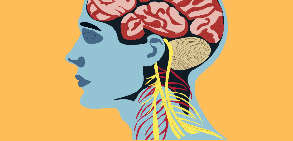 The Vagus Nerve and Gut Health