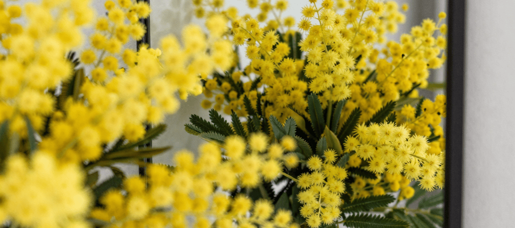 photo of white staircase
