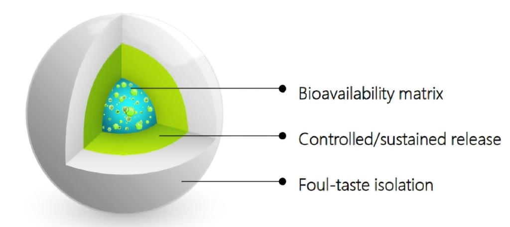 Innovative microencapsulation technique for improving solubility and bioavailability