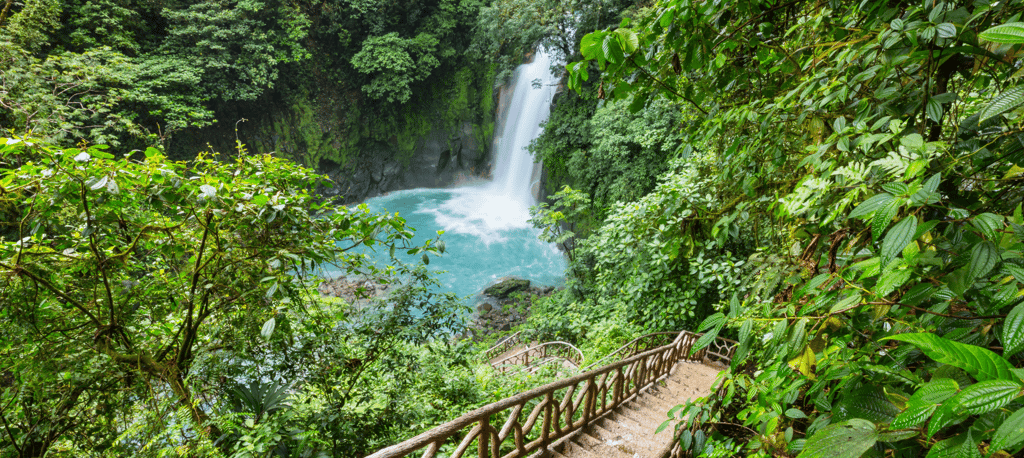 descendo a cachoeira em veragua rainforest costa rica