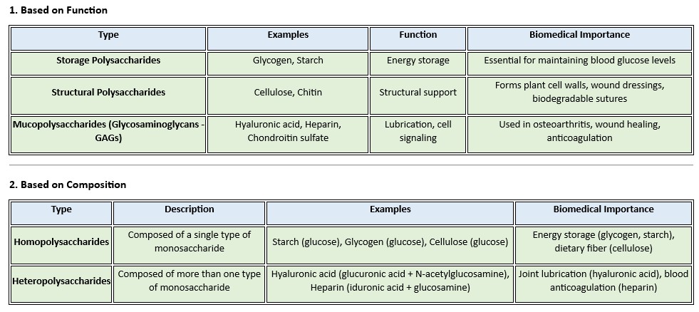 types_polysaccharides