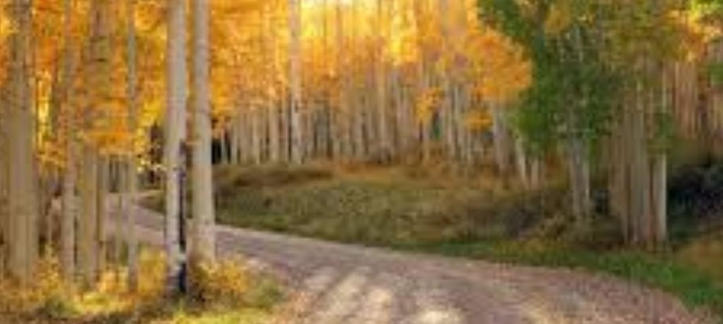 Nature A serene landscape featuring a sunrise over a calm lake, symbolizing new beginnings and healt