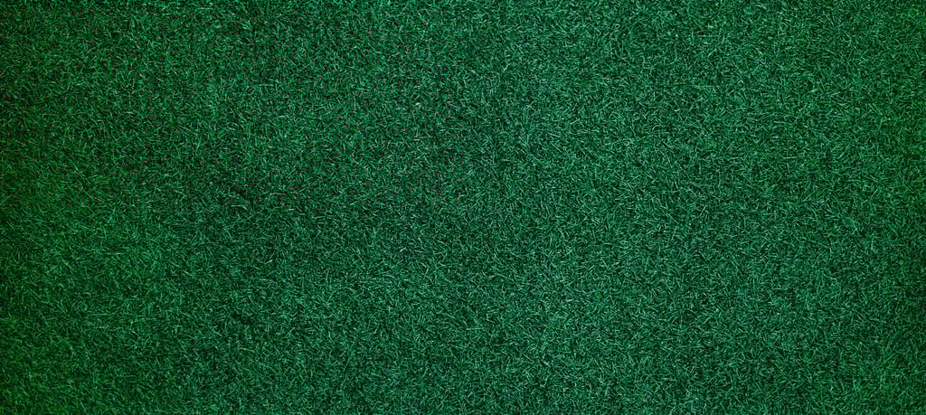 close up of dark green artificial turf for coastal homes