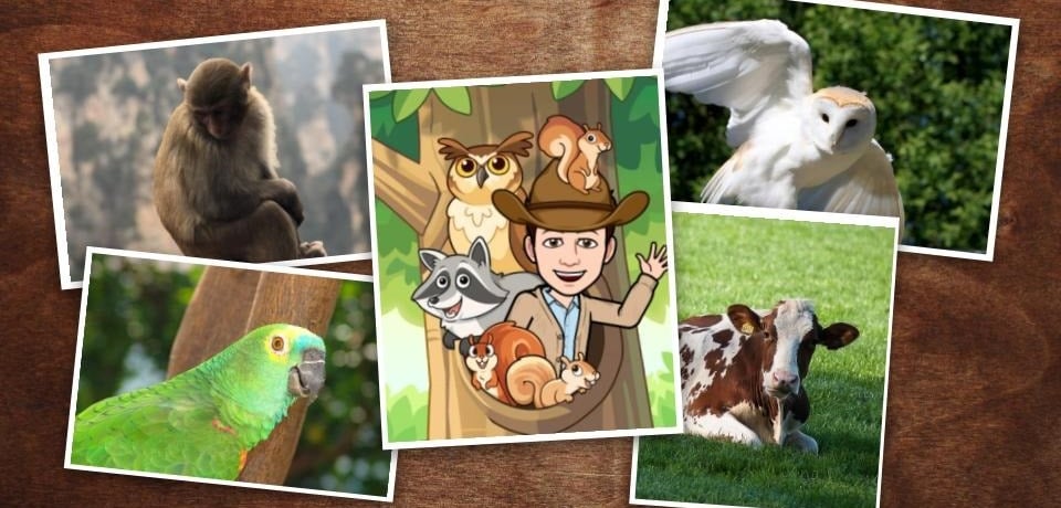 Doutor Zoo