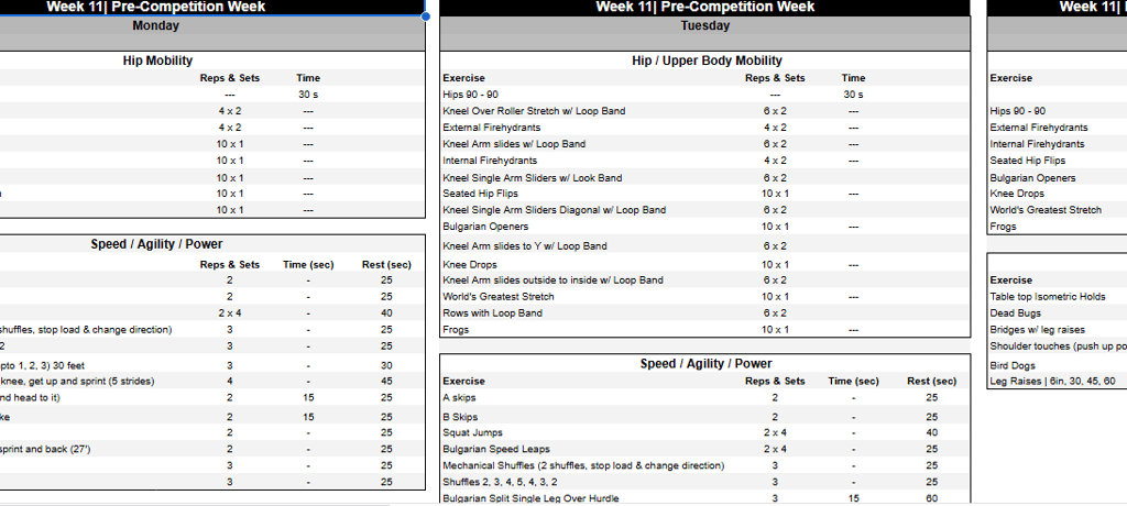 Cesar Performance Coach Daily Tennis Physical Plan
