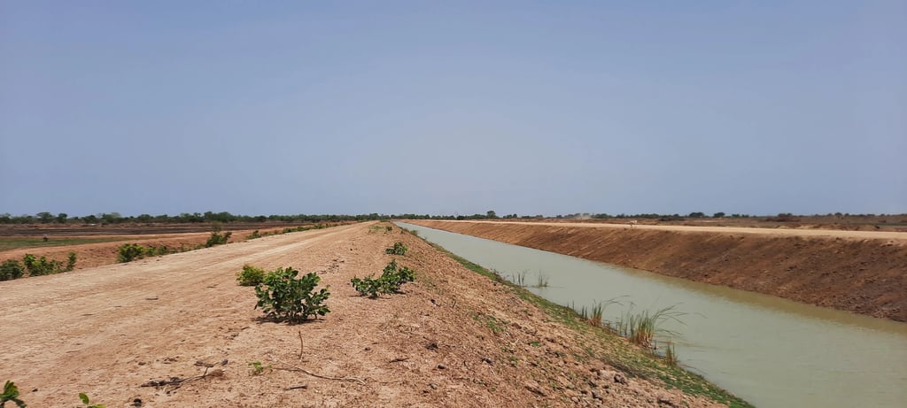 tepro-anambe-canal-irrigation-perimetre-rizicole