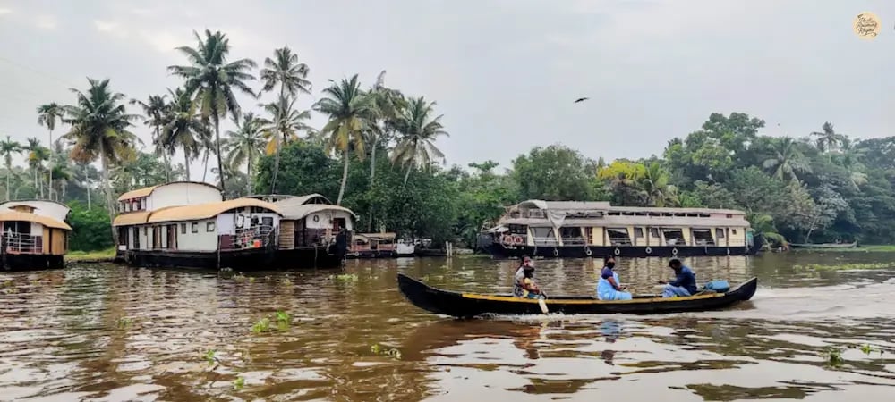 Traditional Alleppey houseboats cruising through the lush paddy fields of Kuttanad, Kerala