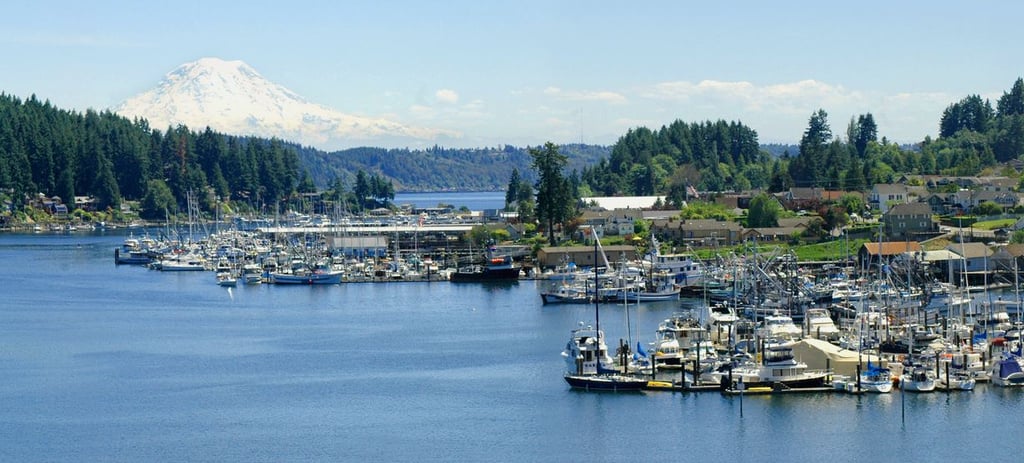 Junk Removal in Gig Harbor, Wa.