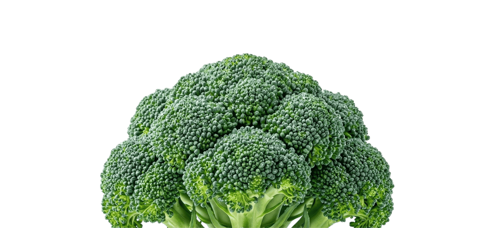 Közelkép egy friss, zöld brokkoli fejéről, texturált.