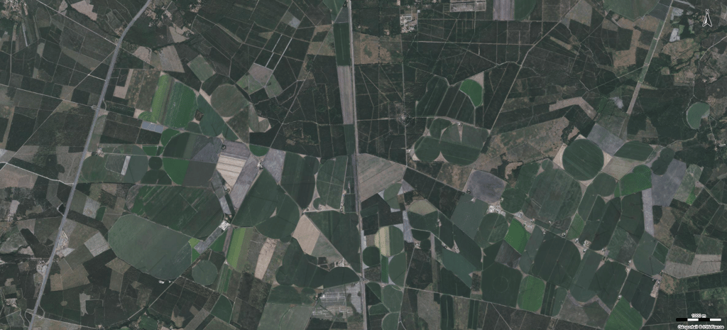 Aerial photography of maritime pine forest plots and agricultural plots in Southwest France
