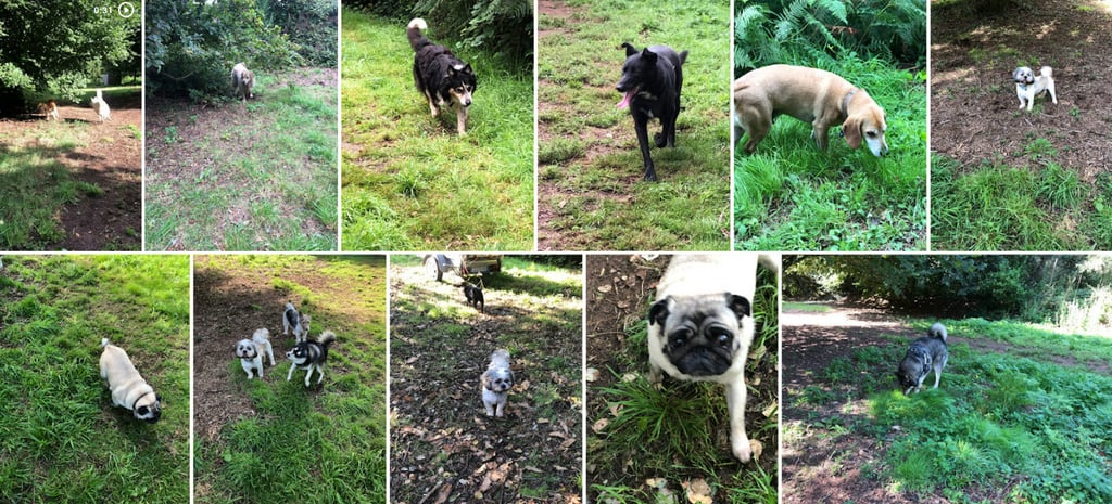 retour en images été 2023