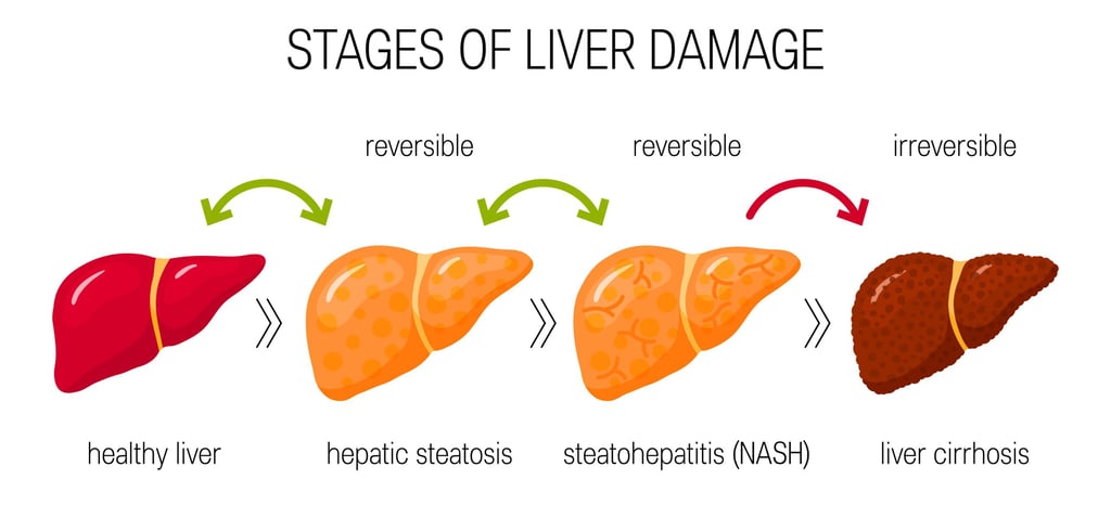 stages of fatty liver