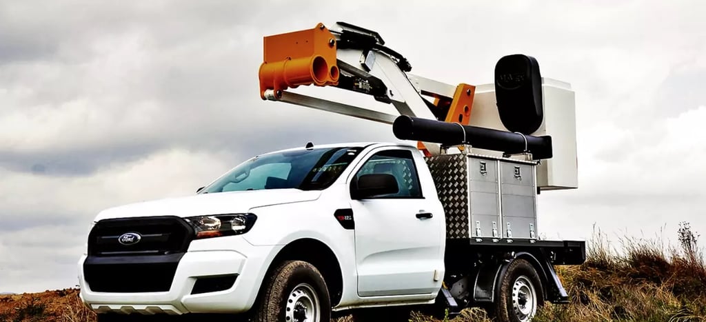 pick up con cesta elevadora