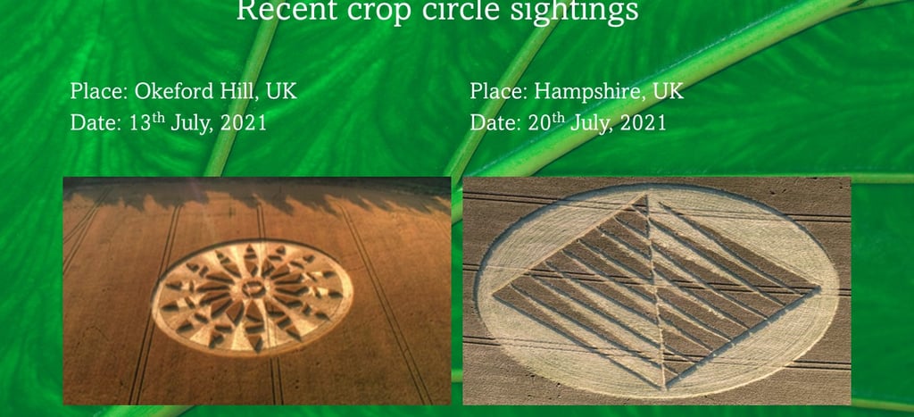 Recent  Crop Circles Sightings