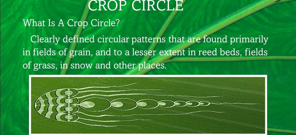 What is a Crop Circle