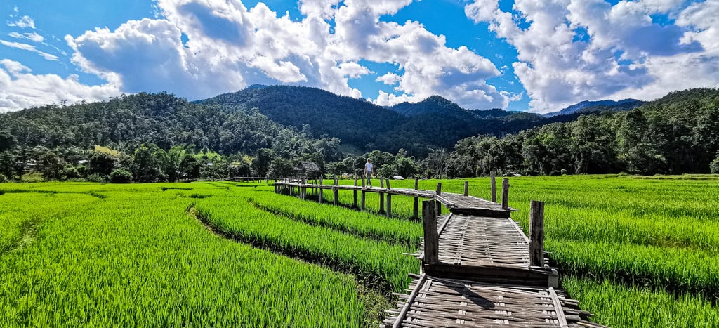 Bamboo Bridge - Pai