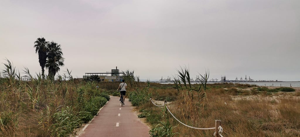 Valencia cycling