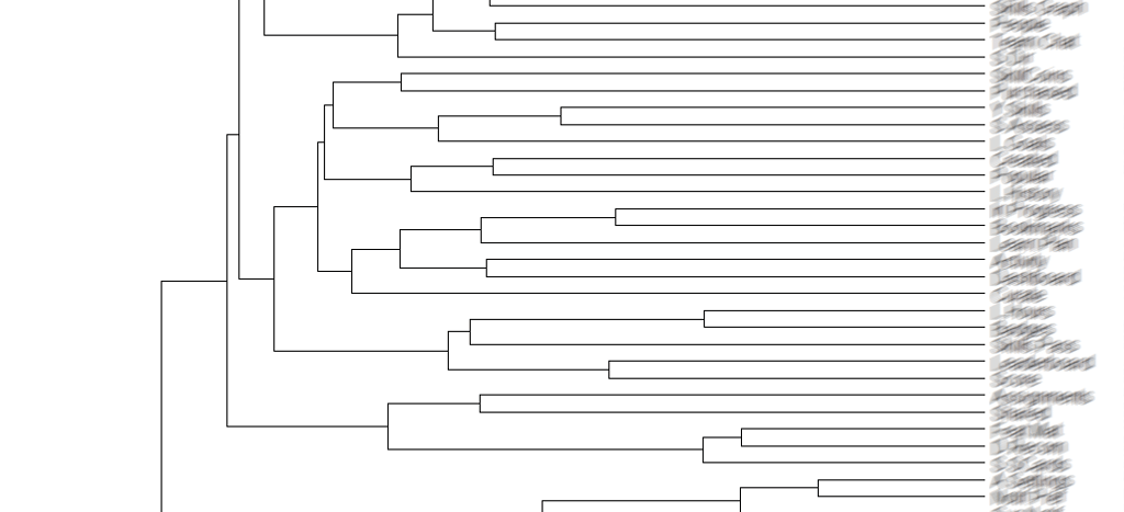hierarchical clusters based on participants' groups
