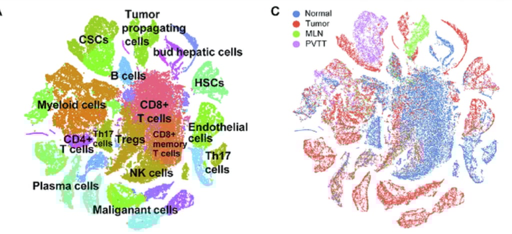 Clustering and visualization of tumor cells