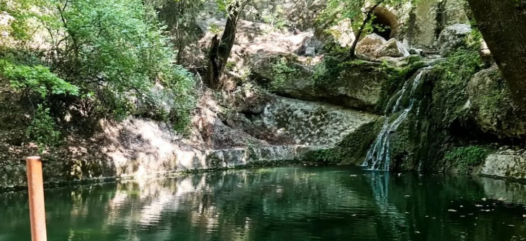 Serene green pond with a small waterfall surrounded by lush trees in a natural forest park.