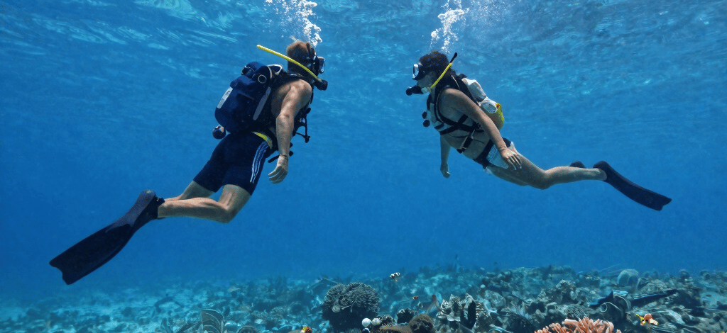 Two scuba divers explore a vibrant coral reef with tropical fish in the Red Sea..