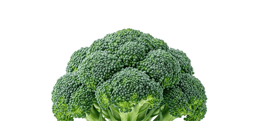 Közelkép friss, zöld brokkoliról.