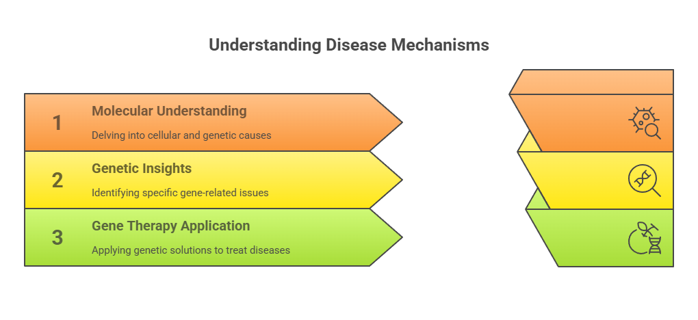 understanding disease mechanism