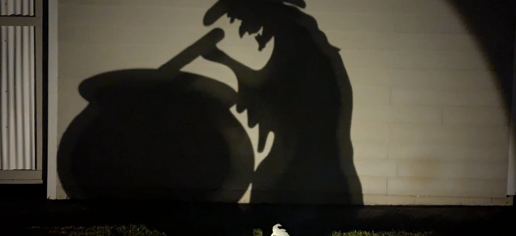 shadow of a witch stirring a cauldron