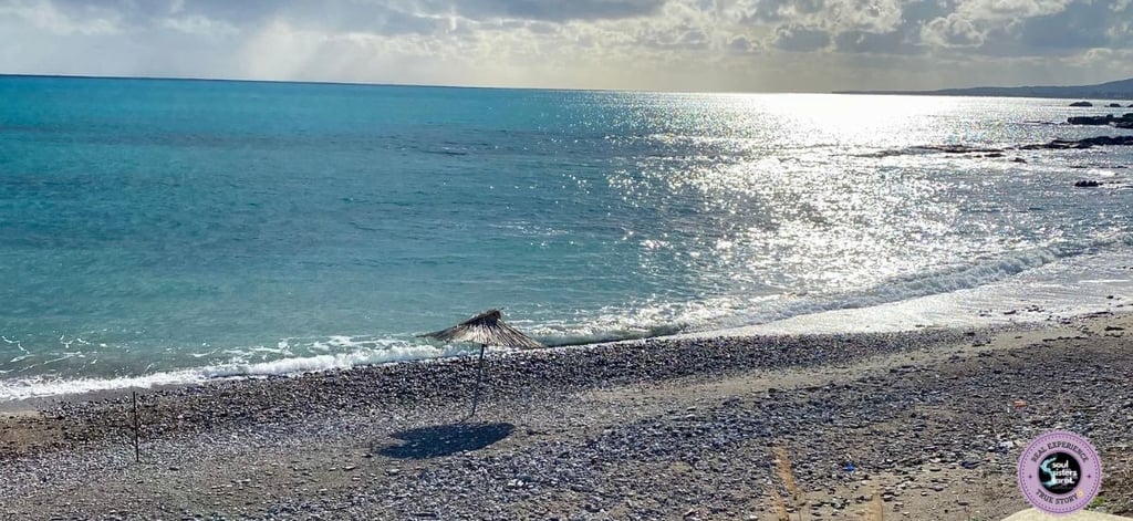 Daily Self-Love Habits Soul Sisters Tarot