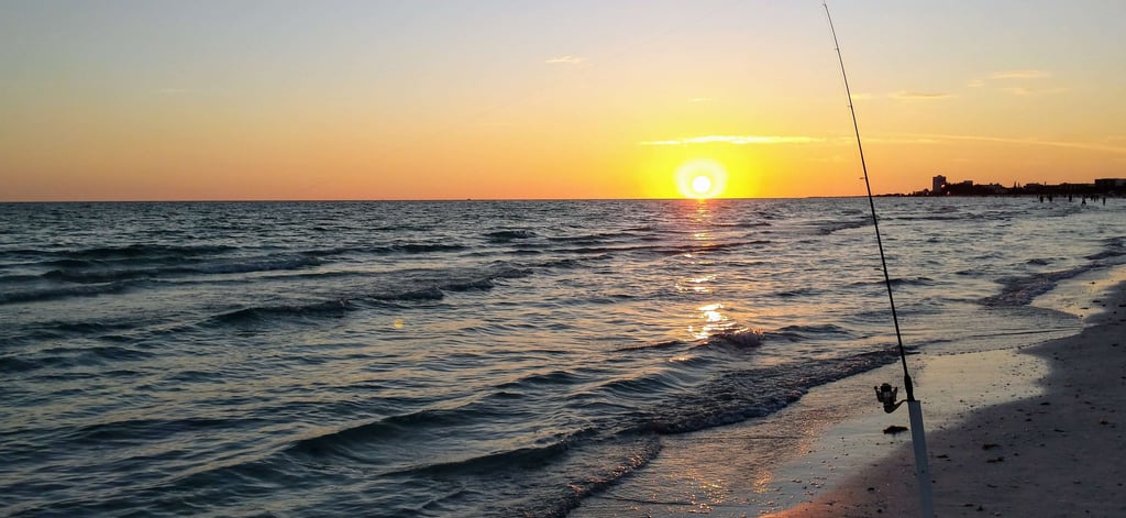 Siesta Key Beach fishing 