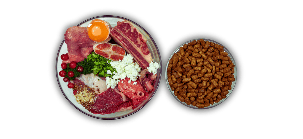 Natural food for dogs and kibble on the right.