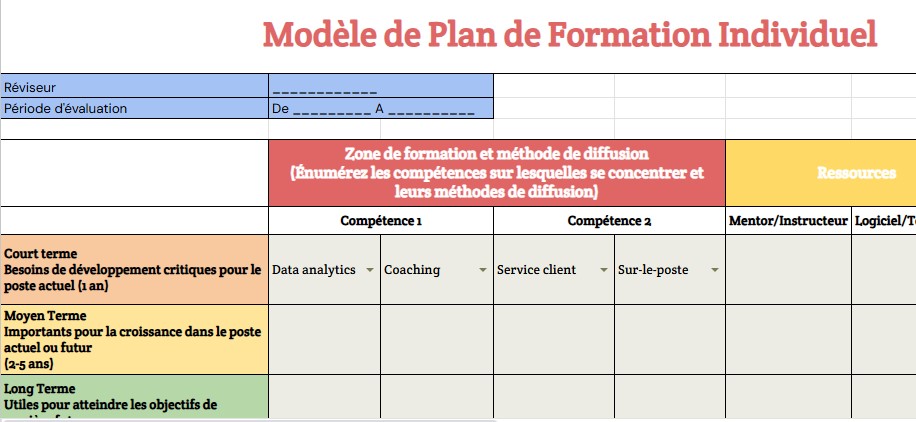 modele Plan de formation individuel exemple