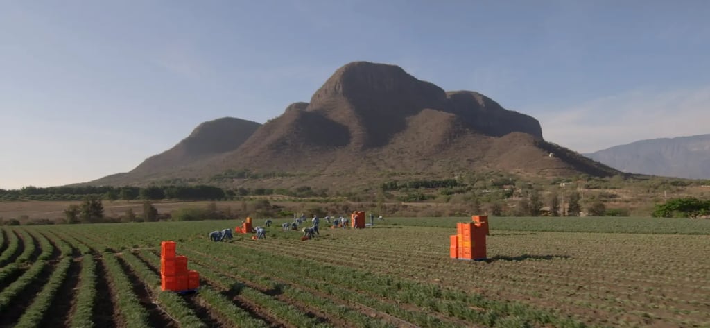 Nutrilite El Petacal Farm