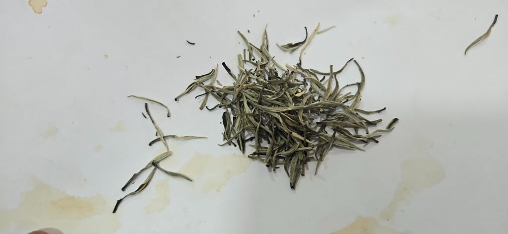 Bir Global™ Group Export