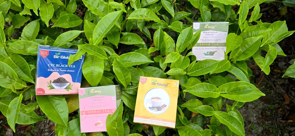 Bir Global™ Group Export