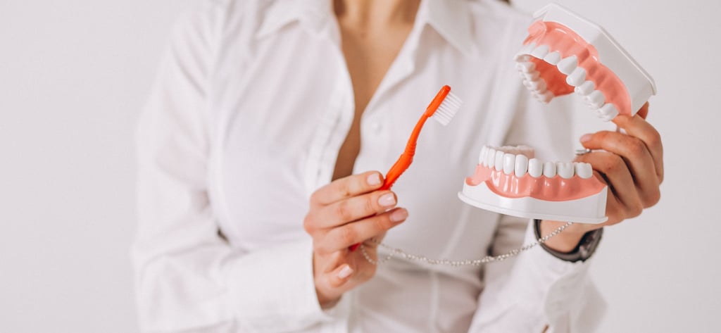 A dental professional holding an anatomical human jaw model and an orange toothbrush to demonstrate oral hygiene.