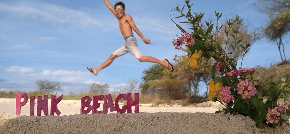 Tour harian ke pantai pink lombok