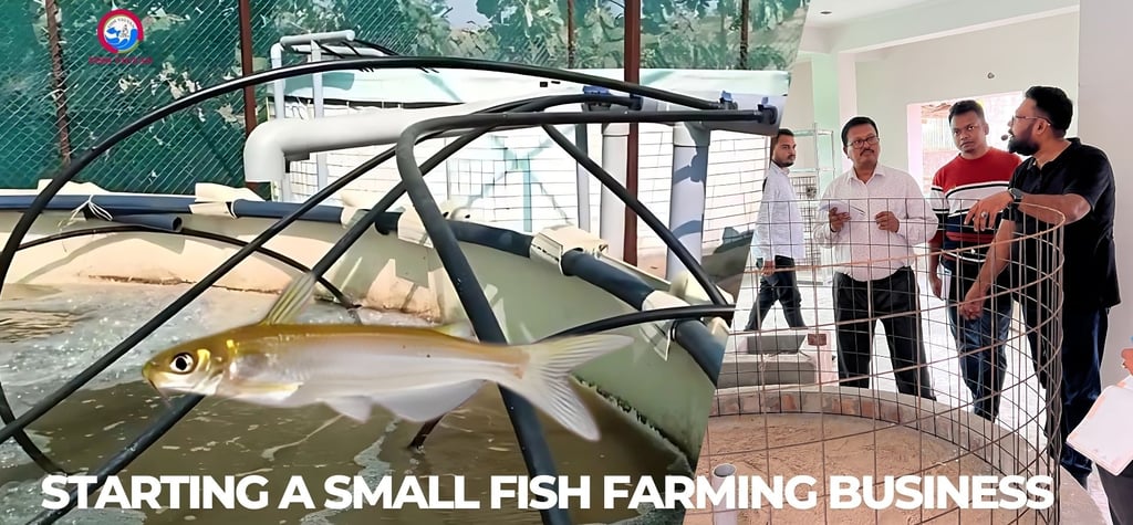 Starting a small fish farming business