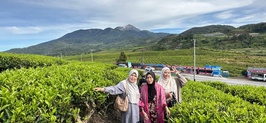 Kebun Teh Alahan Panjang
