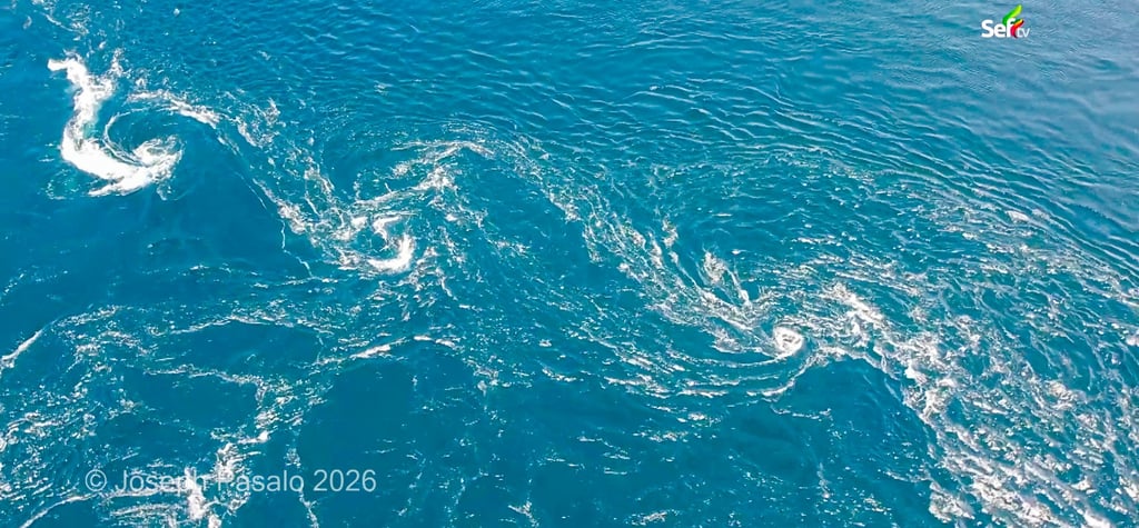 Cluster of whirlpool in Bitaugan Surigao Mindanao