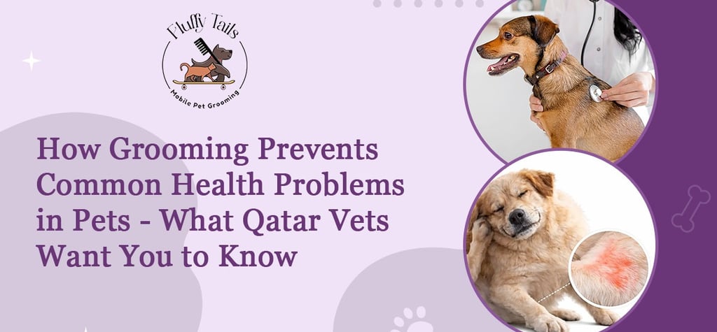 How Grooming Prevents Common Health Problems in Pets - What Qatar Vets Want You to Know