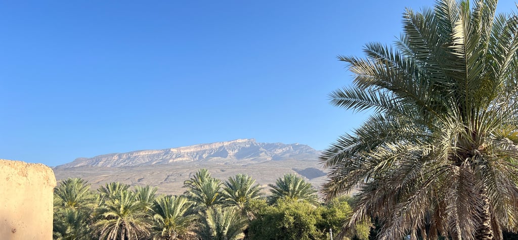 Scenic desert oasis featuring lush green palm trees against a backdrop of rugged mountains under a clear blue sky.