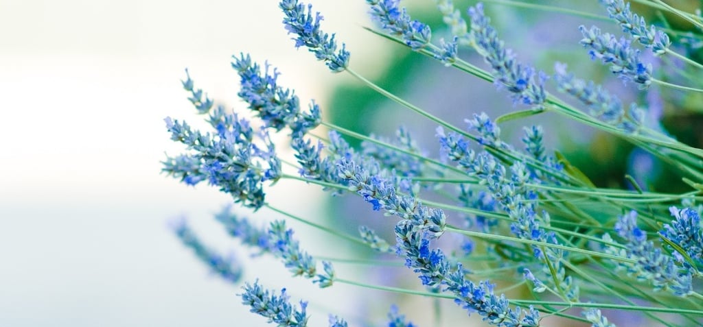 psykoterapia, psykoterapeutti, kela, satu aherto, nlp, mielenterveys, terapeutti, lohja, sodankylä