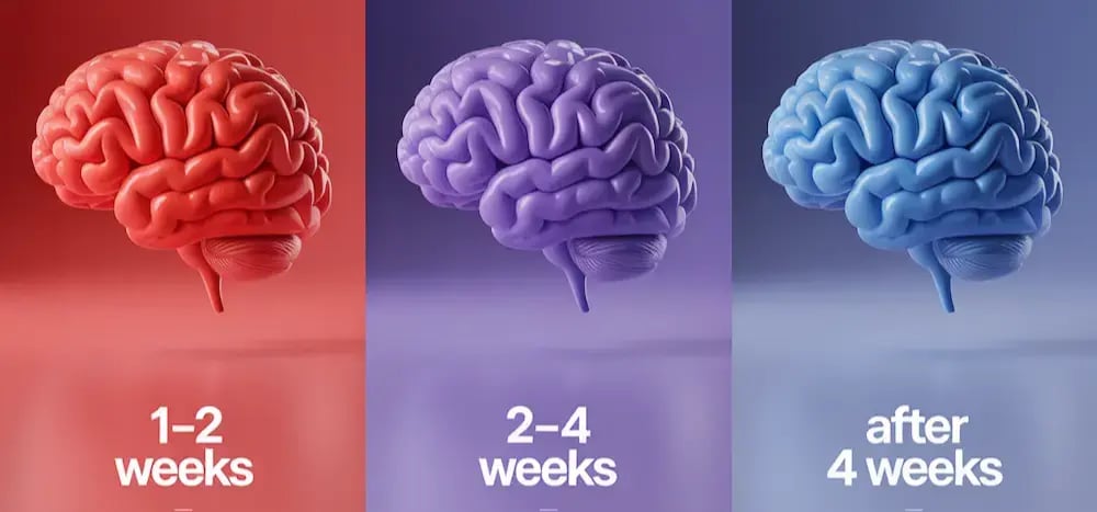Visual timeline showing what users may expect over time when using Nervovive