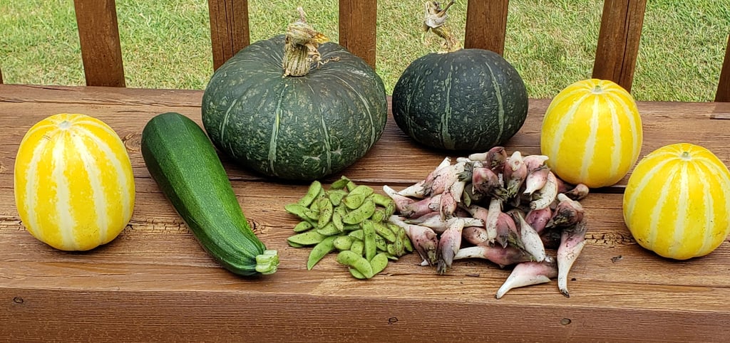 Photo of an assortment of vegetables on a wooden bench