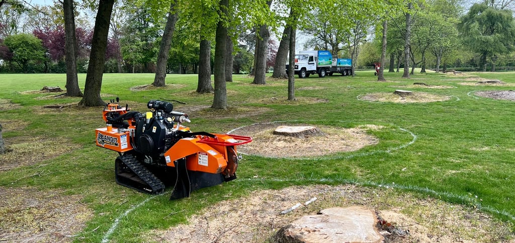 weedons stump removal