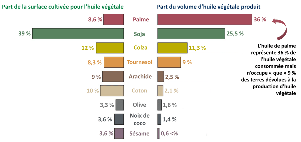 Comparaison de la surface cultivée et du volume d'huile produit entre différentes cultures